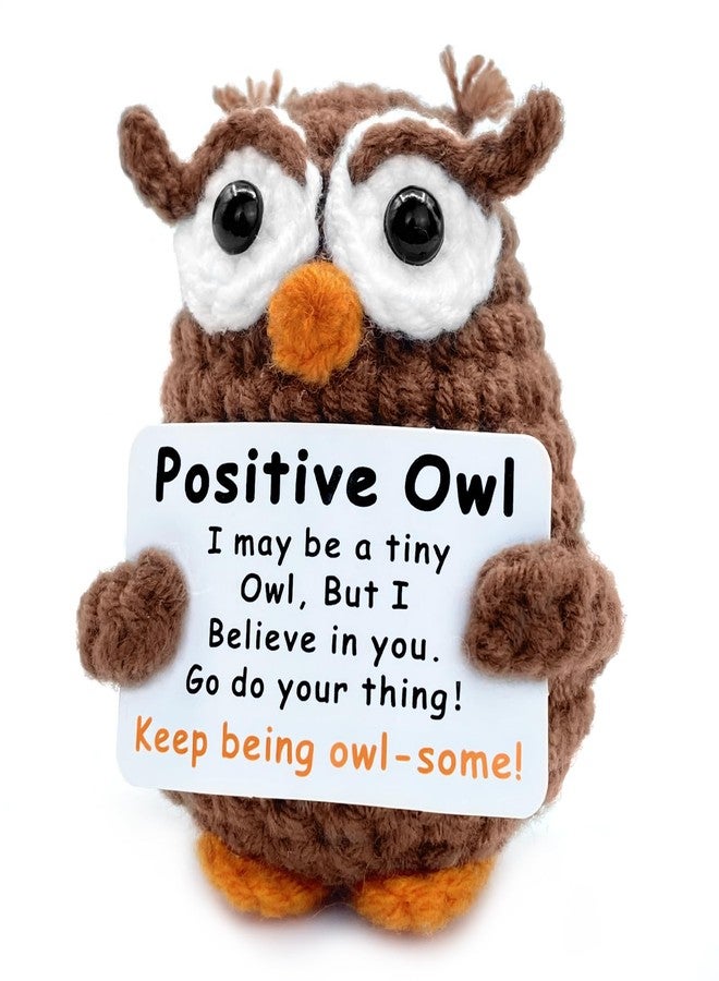 SGIBYN Positive Crochet Animals,Emotional Support Crochet Stuffed Plush Owl Gifts for Women Men Teens,Inspirational Gifts for Coworker Colleague Teacher Friend,Handmade Cute Mini Owl for Office Desk Decor - Image 1